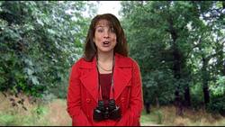 Classy Animals Instructional Video