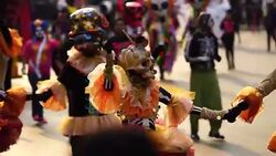 Parade of Day of the Dead in Mexico Stock Footage