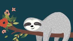 But First, We Nap Instructional Video