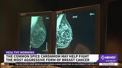Spice May Help Fight Aggressive Form Of Breast Cancer News Clip