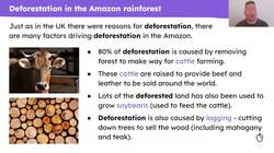 Researching deforestation in the Amazon rainforest Instructional Video