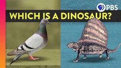 What Is A Dinosaur And What Isn’t a Dinosaur? Instructional Video