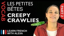 Creepy Crawlies in French Part 2 (basic French vocabulary from Learn French With Alexa) Instructional Video