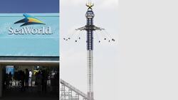 Prospect of Pfizer vaccine boosts stock market News Clip