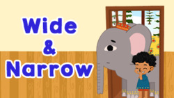 Comparing Sizes - Wide And Narrow Instructional Video