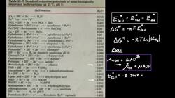 Biochemical Cell Potentials: Example 1 Instructional Video
