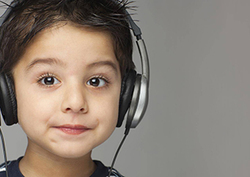 Classification keys – What's that noise? Instructional Video