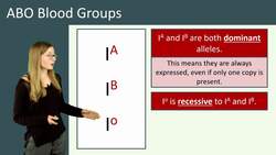 Codominance: Understanding the Phenotypic Effects of Two Alleles for a Gene Instructional Video