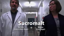 USDA-ARS Partners to Produce Low Glycemic Sweetener Instructional Video