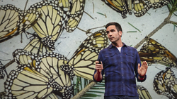 TED: The magical, mesmerizing migration of monarch butterflies | Jaime Rojo Instructional Video