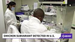 Officials Say Newly Detected Omicron Subvariant Is Not Cause For Panic News Clip