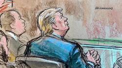 Former President Donald Trump in court: He had tried to overturn the 2020 US elections News Clip