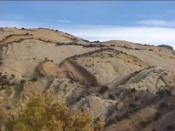 Exploring Fossils: Introduction Instructional Video