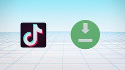 Vulnerabilities found in TikTok: Report Instructional Video