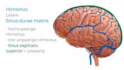 Sinus sagittalis superior Instructional Video