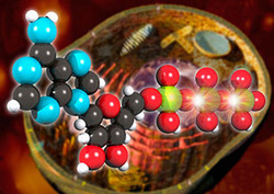 ATP Instructional Video