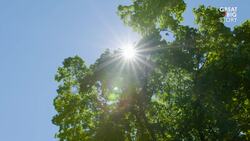 She Was Forced Into Marriage Now She’s Helping Others Escape Instructional Video