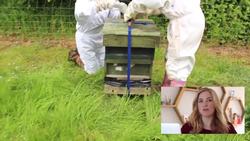 How to Move a Beehive? | Beekeeping with Maddie #11 Instructional Video