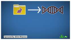Plastic Bunny 3D Printed From Its Own DNA Instructional Video