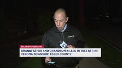 Police: Grandfather, 6-month-old grandson killed by fallen tree in Verona News Clip