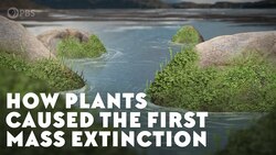 How Plants Caused the First Mass Extinction Instructional Video