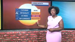 HEAT ALERT: Steamy and humid conditions for the Bronx; possibly pop-up storm later News Clip