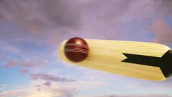 High Five Facts - Cricket Instructional Video