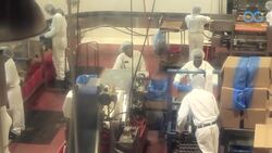 Greyston Bakery Offers Employment to At Risk Adults Instructional Video
