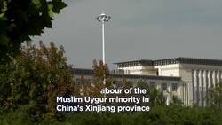 These artists and activists want the EU to speed forced labour ban News Clip