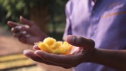 Exploring Siem Reap: A Cultural Paradise in Cambodia Instructional Video