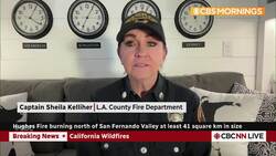 Sepulveda fire ignites overnight near major freeway in Bel-Air neighbourhood News Clip