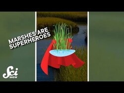 Marshes are superheroes. #shorts #science #SciShow #ClimeworksTeamEarth #climatechange #climeworks Instructional Video