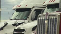 New initiative aims to fight against labour trafficking News Clip