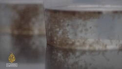 Brazil’s rainy season fuels dengue crisis as scientists turn to new tactics News Clip