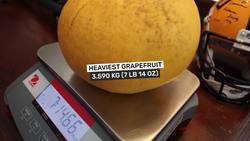 The Magical Fairy Garden and the World Record Grapefruit Instructional Video