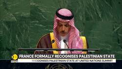 Emmanuel Macron Recognises Palestinian State at United Nations Summit News Clip