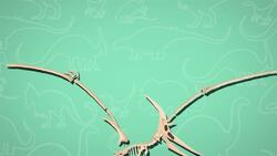 I WONDER - Why Did The Pteranodon Have A Crest? Instructional Video