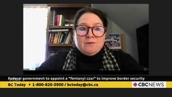 Federal government to appoint a “fentanyl czar” to improve border security News Clip