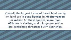 Are Insects Really Going Extinct? - De-Natured Instructional Video