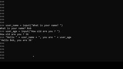 Practical Python: Learn Python Basics Step by Step- Python 3 - Python Level 1: Exercises - Solution Instructional Video