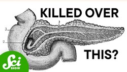 The Organ That Drove a Scientist to Kill Instructional Video