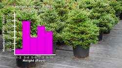 Histograms: # of Observations Instructional Video