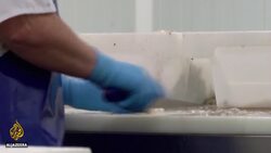 Falkland Islands in spotlight after exclusion from Brexit deals News Clip