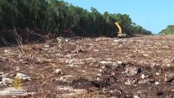 Mexico's Mayan train project risks environment near Cancun News Clip