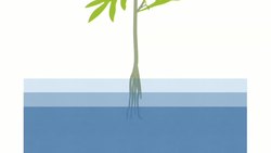 Introduction to Hydroponic Gardening Instructional Video