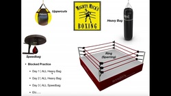 Motor Learning | Blocked & Random Practice Schedules Instructional Video