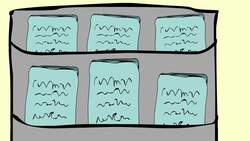 How to Pass Your Learner's Permit Test Instructional Video