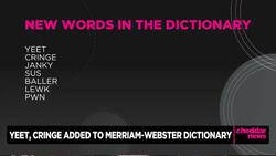'Yeet' amd Other Lang Words Added to Merriam-Webster Dictionary News Clip