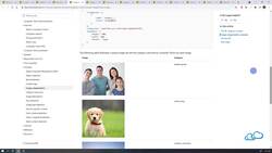 What are Computer Vision Services Instructional Video