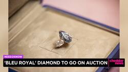 'Bleu Royal' Diamond to Go On Auction News Clip